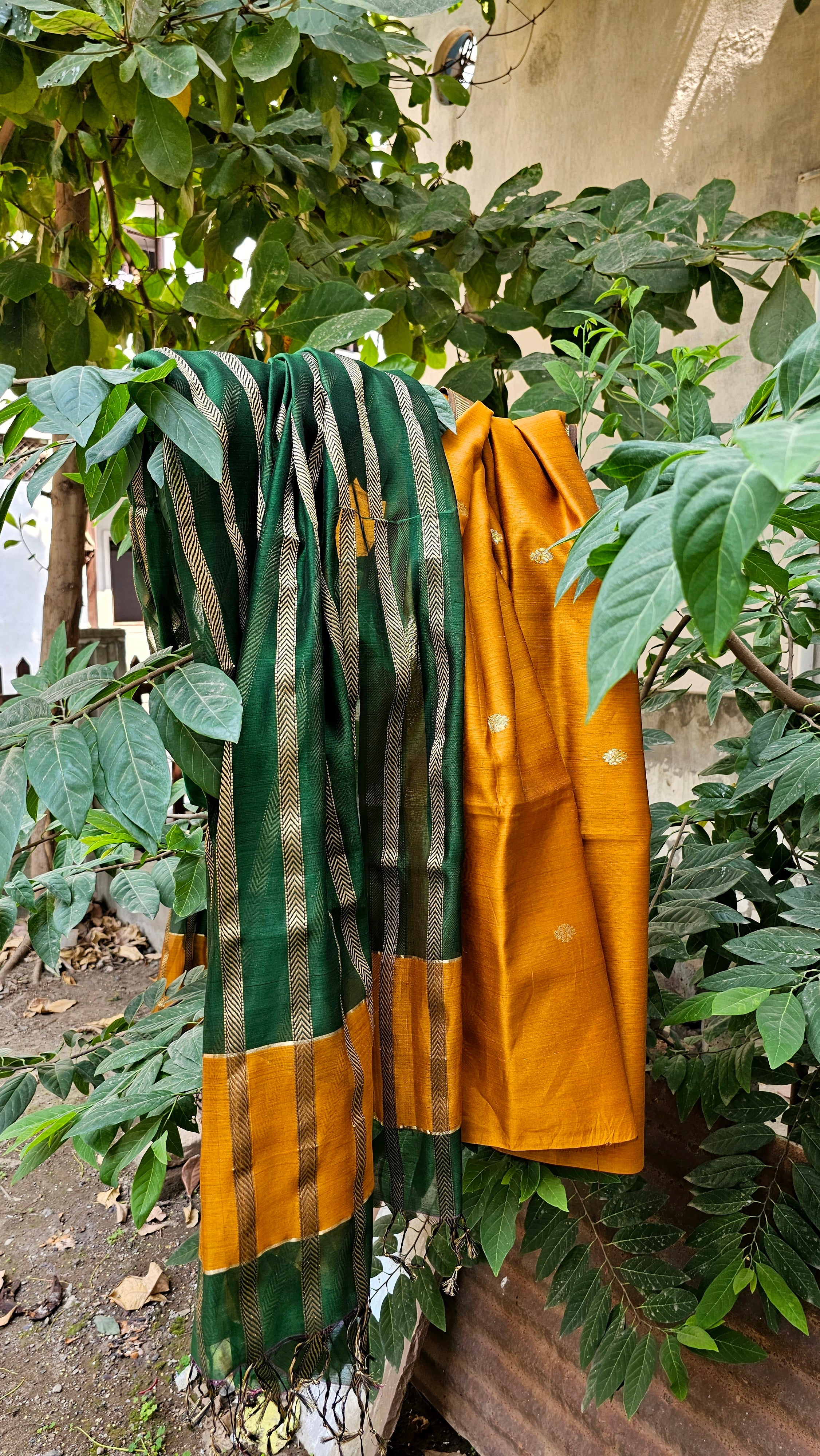 Mustard Yellow Top & Emerald Green Dupatta with 16 Gold Zari Borders