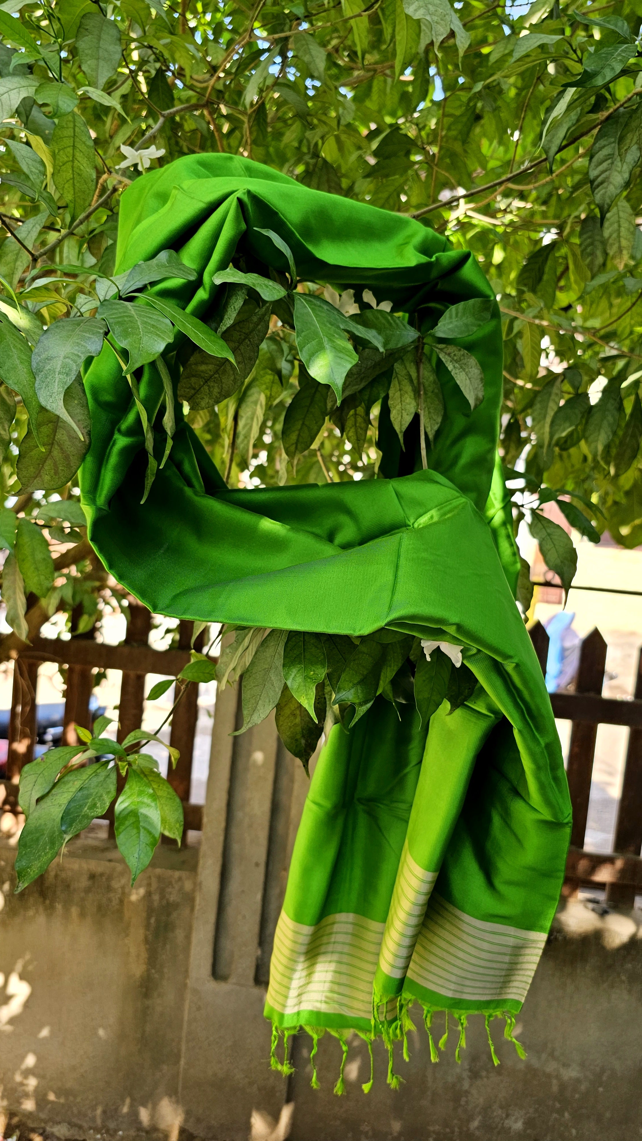 Mulberry Silk×Silk Stole woven on 4 Pedal Handloom.