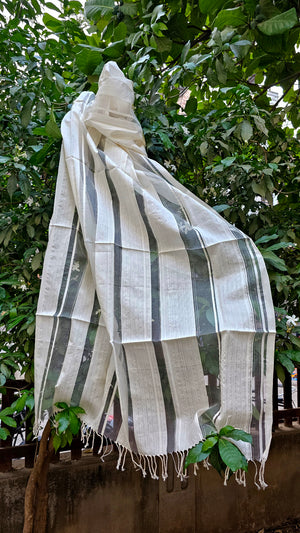 Organza Dupatta with scattered Silver Zari Lines.