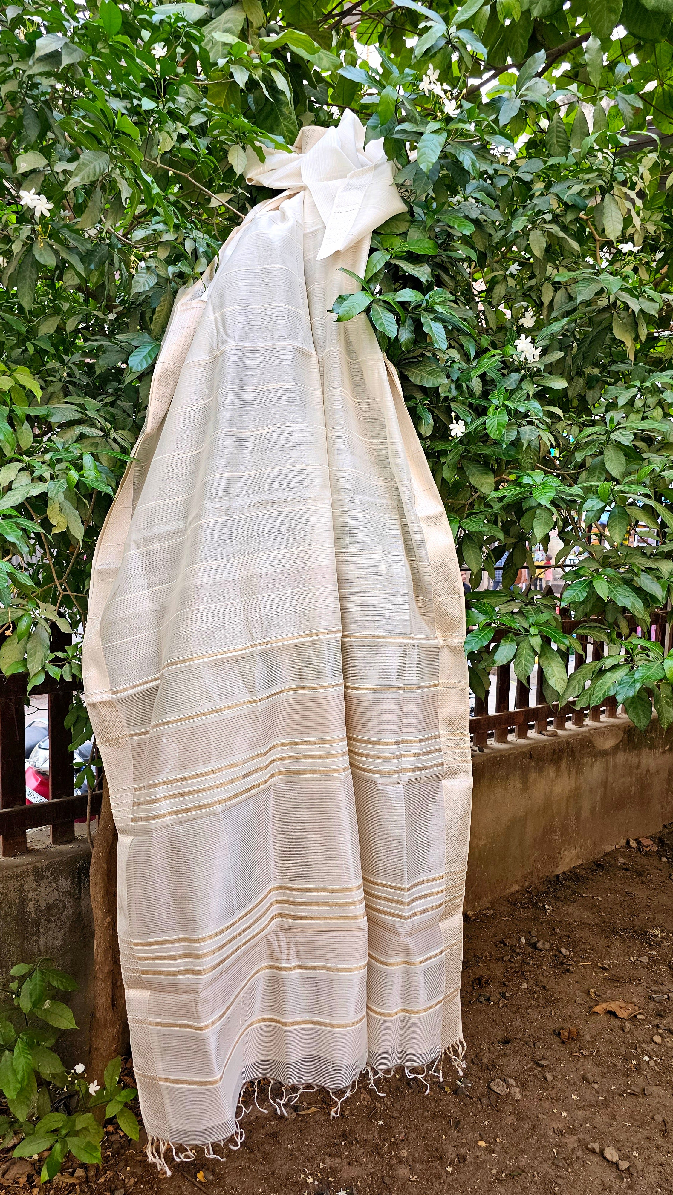 Off White Saree with self Weft Stripes and Silver Zari Borders.