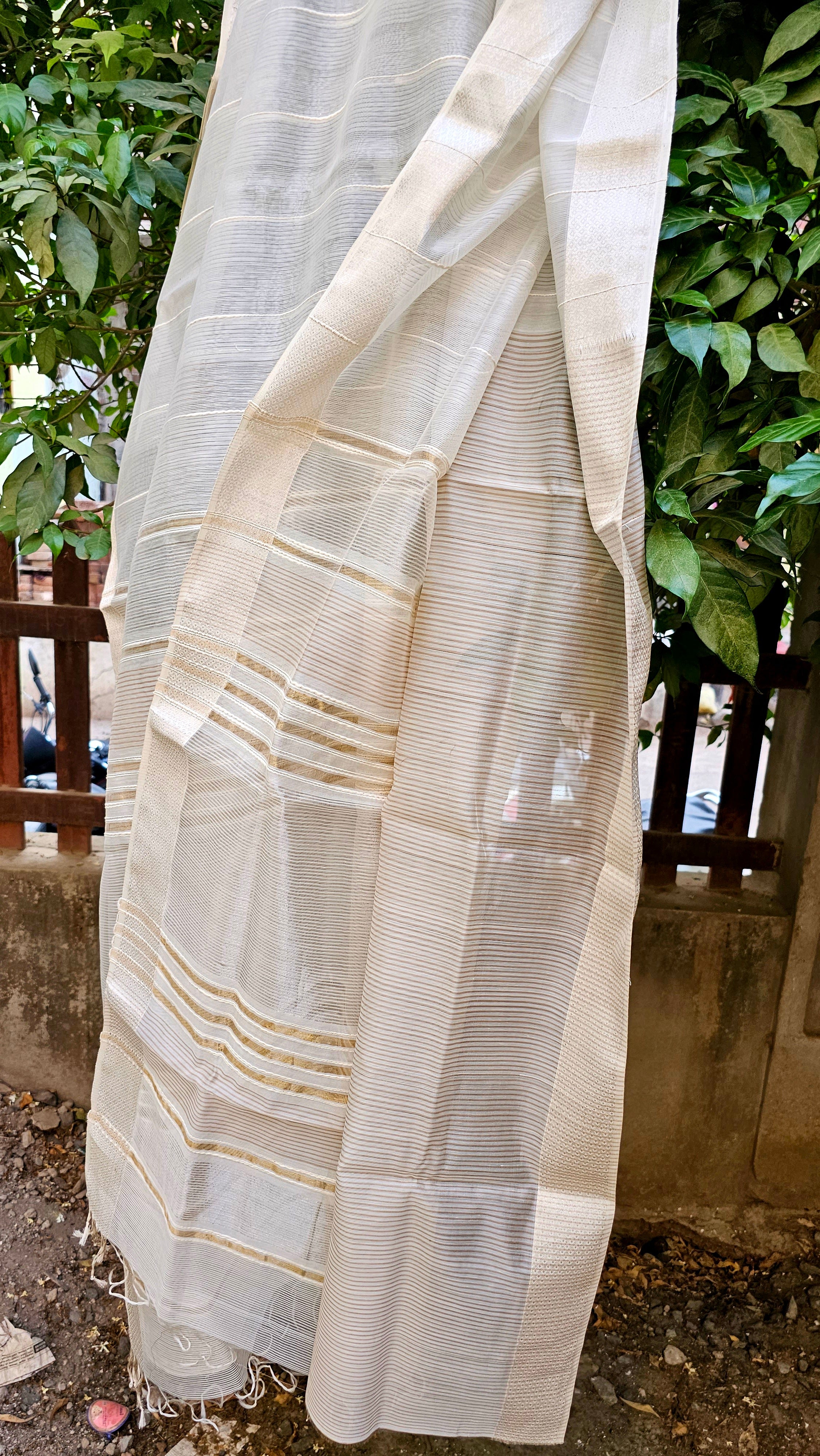Off White Saree with self Weft Stripes and Silver Zari Borders.