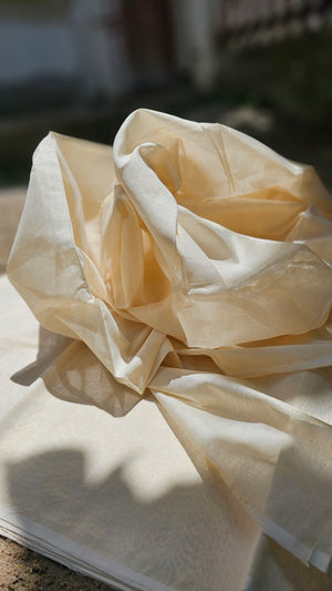Gold Tissue running Fabric.