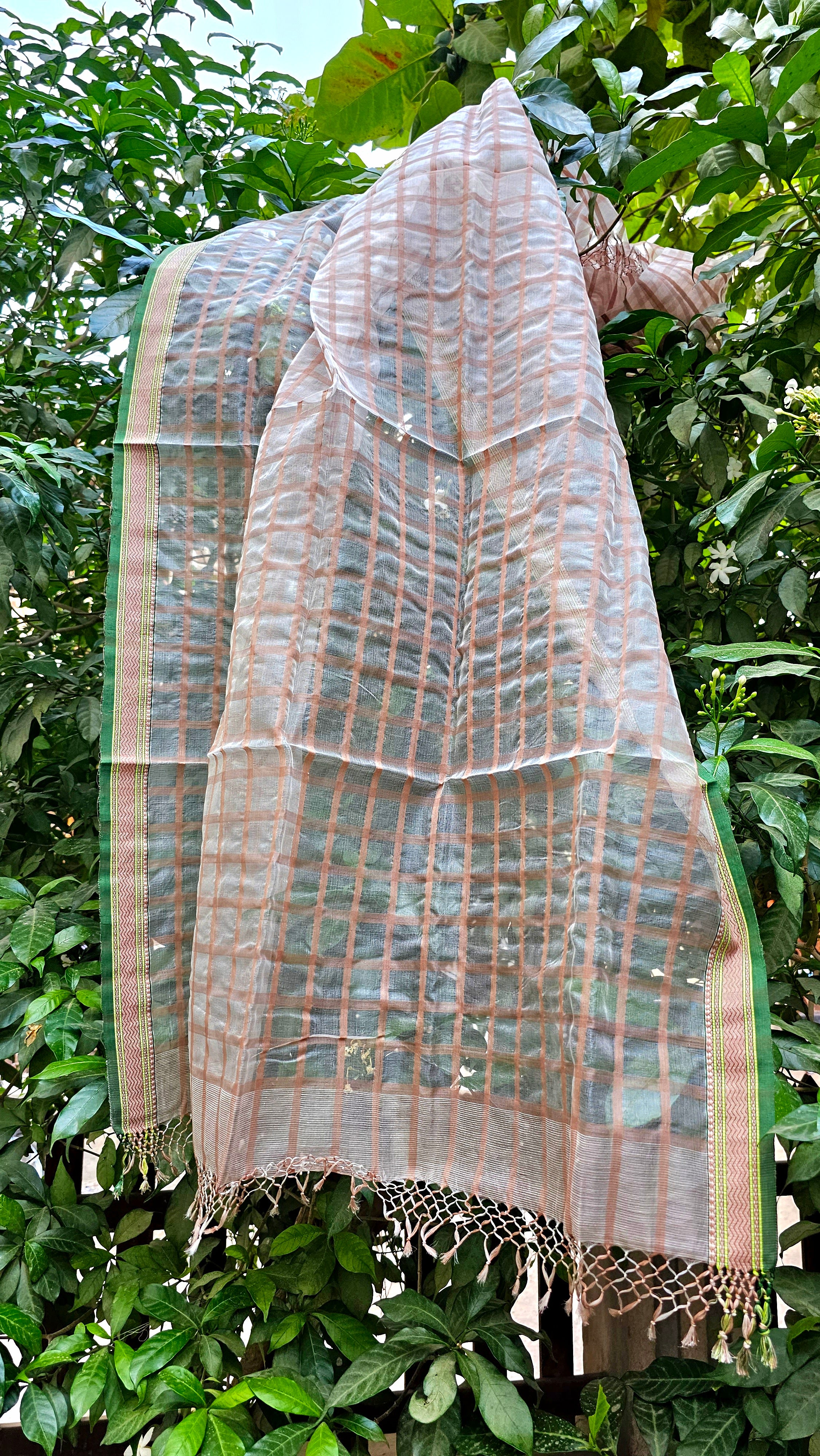 Organza Dupatta with Thread Borders.