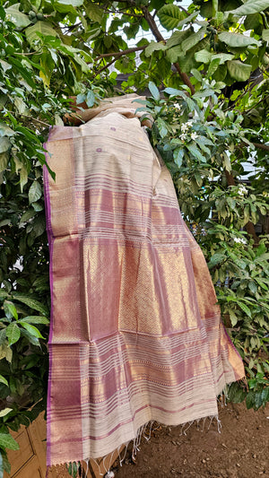 Saree with Gichha Stripes, Booties and Extra Weft Jaala Palla.