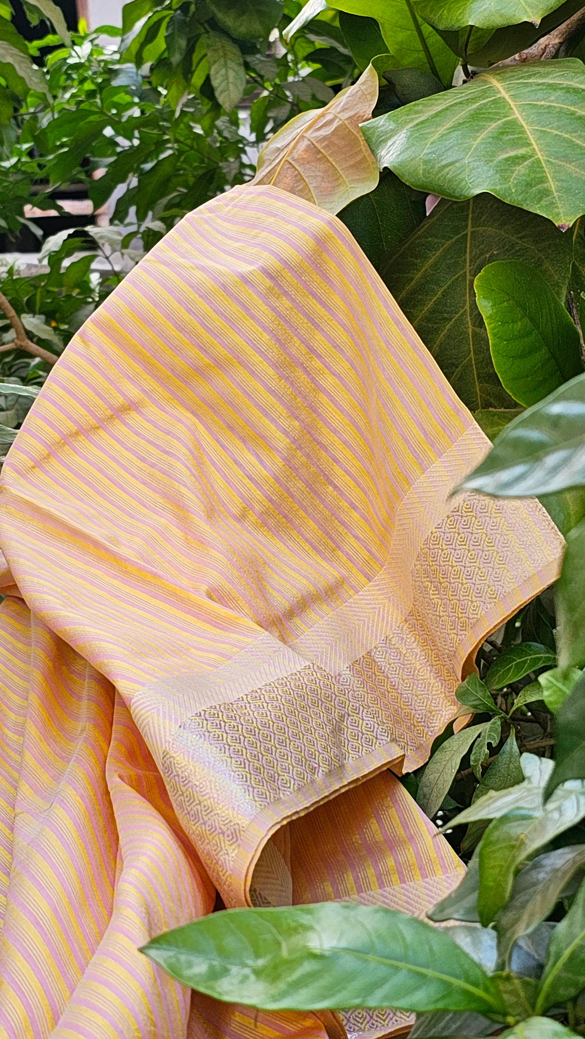 Silk×Silk Saree with Weft Stripes and Silver Zari Borders along with Extra Weft Kosa Palla