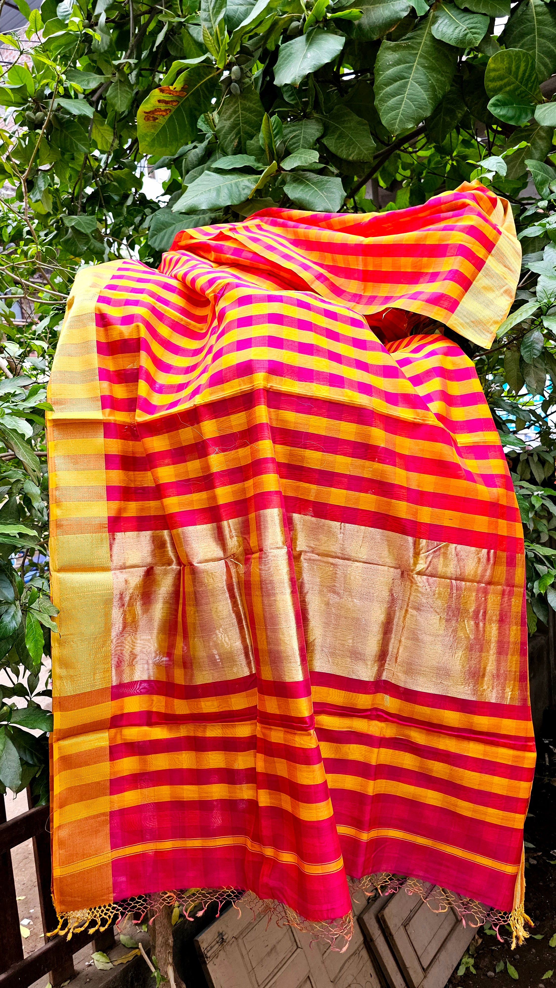 Bold Checks Saree with Gold Zari Borders and Tissue Palla.