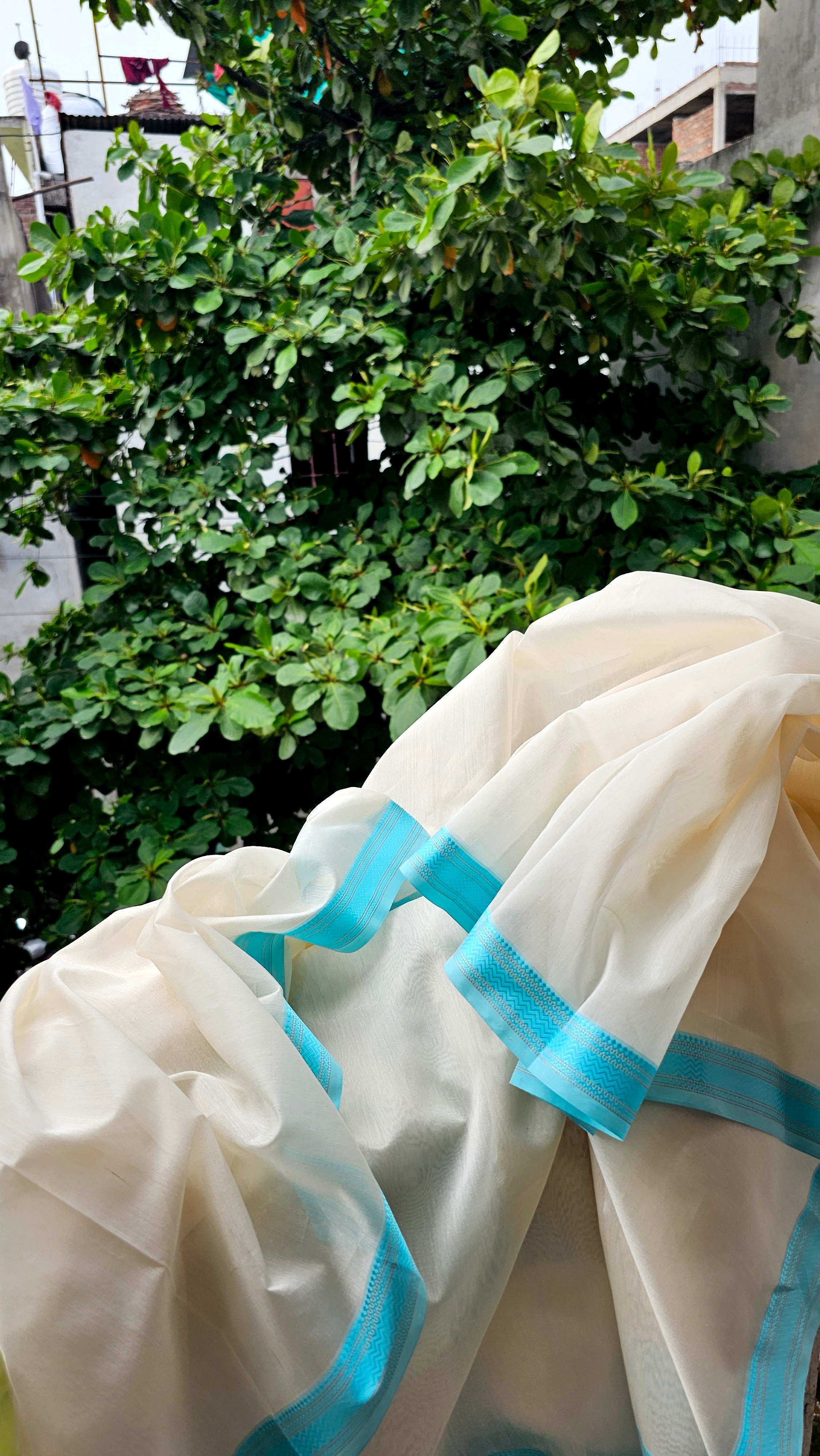 An Off White Saree with Turquoise Blue Resham Borders.