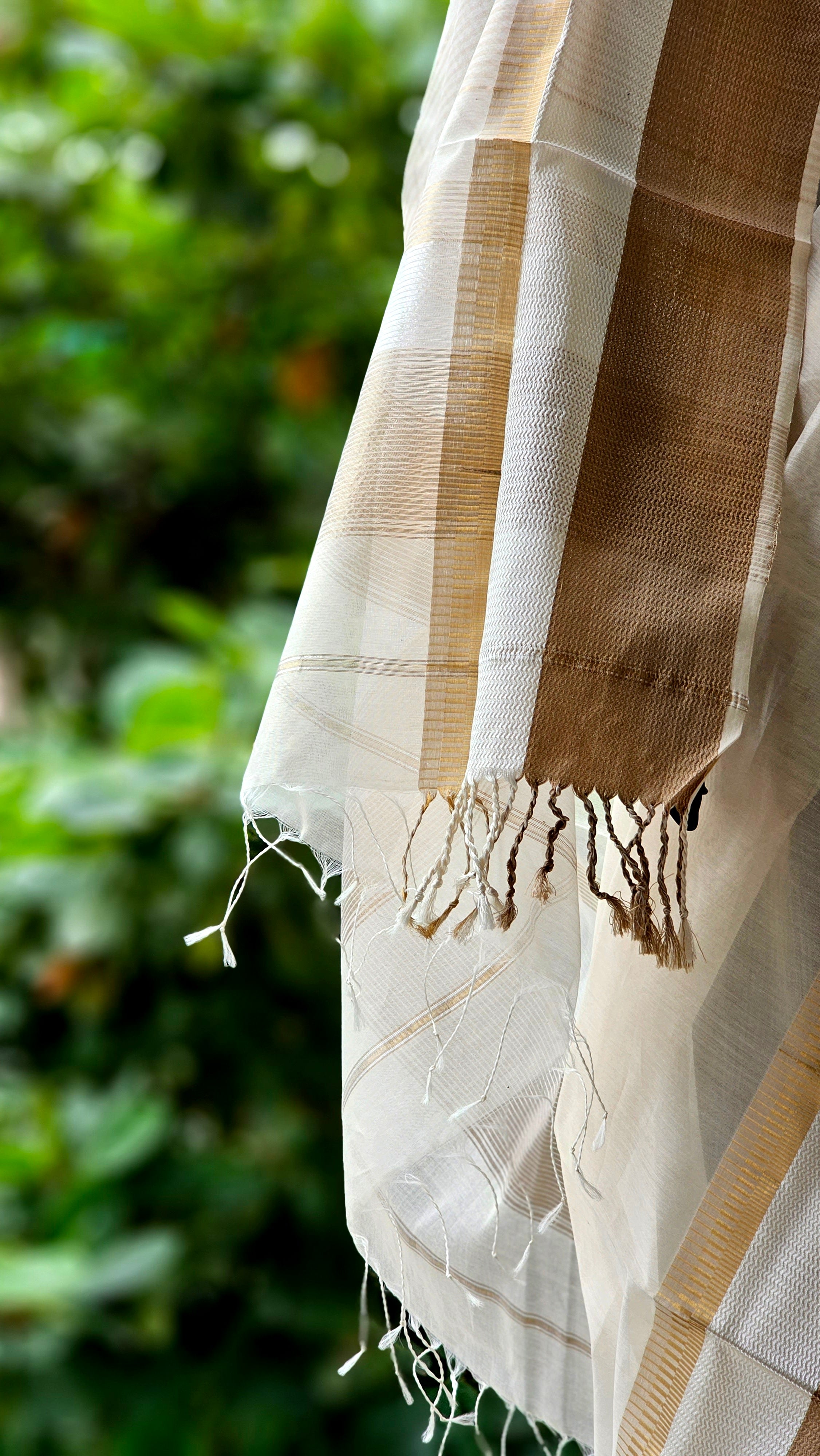 An Off White Saree with Broad Resham Borders.
