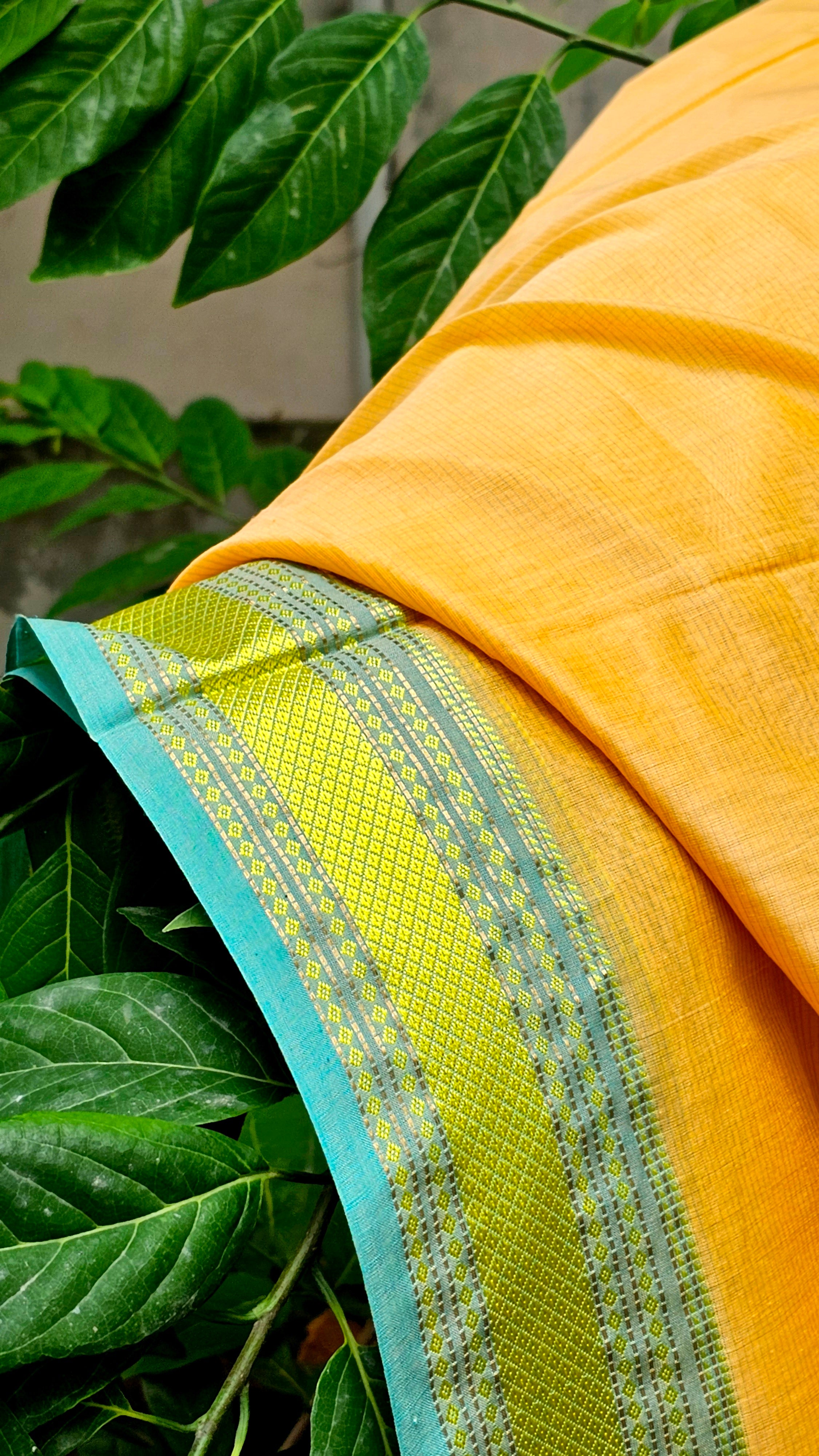 Raasta Saree with Traditional Hansa Resham Borders.