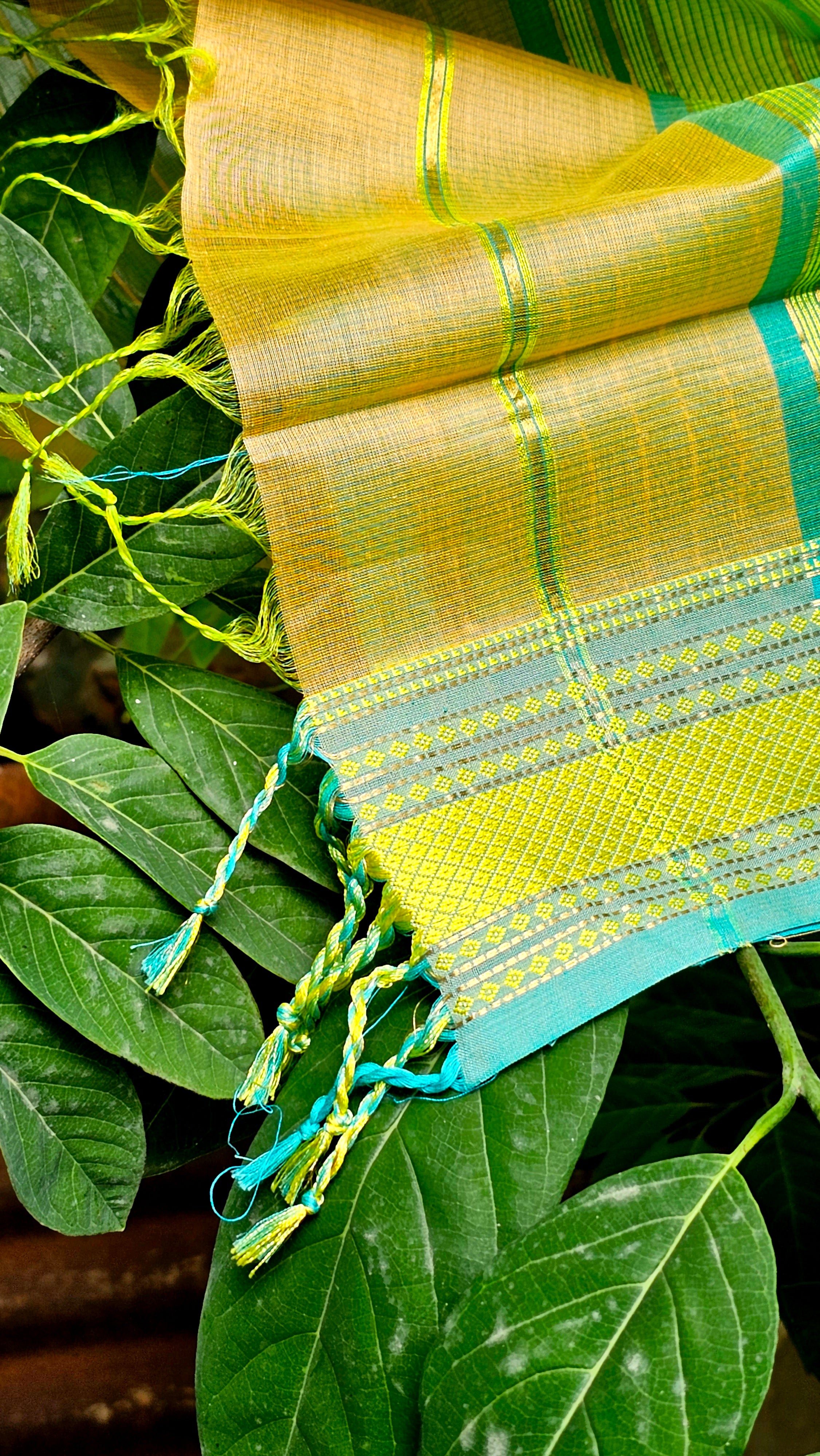 Raasta Saree with Traditional Hansa Resham Borders.