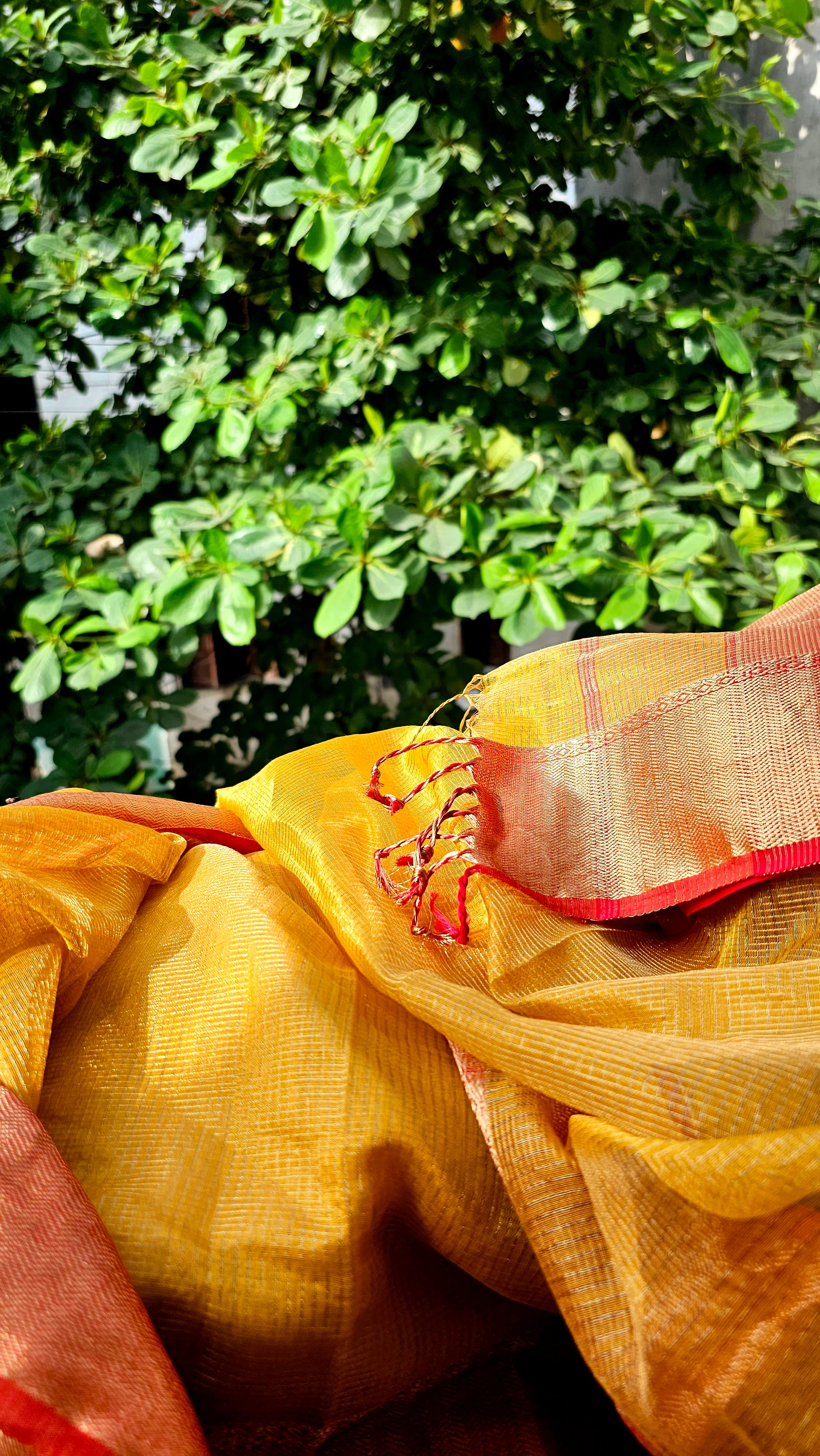 Gold Tissue checks Saree with contrast Borders, Pallu and Blouse.