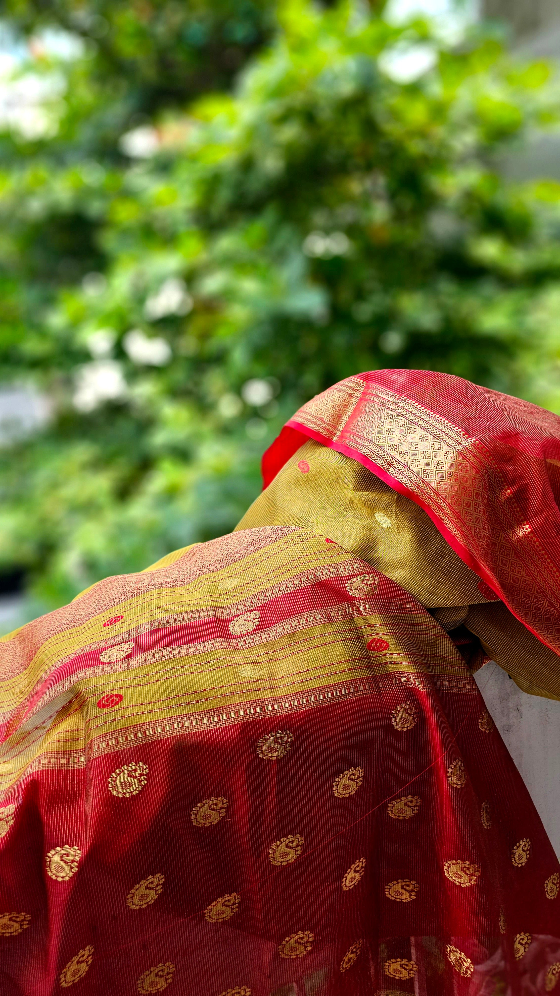 Explore the Beauty of Gold Tissue Checks Sarees.