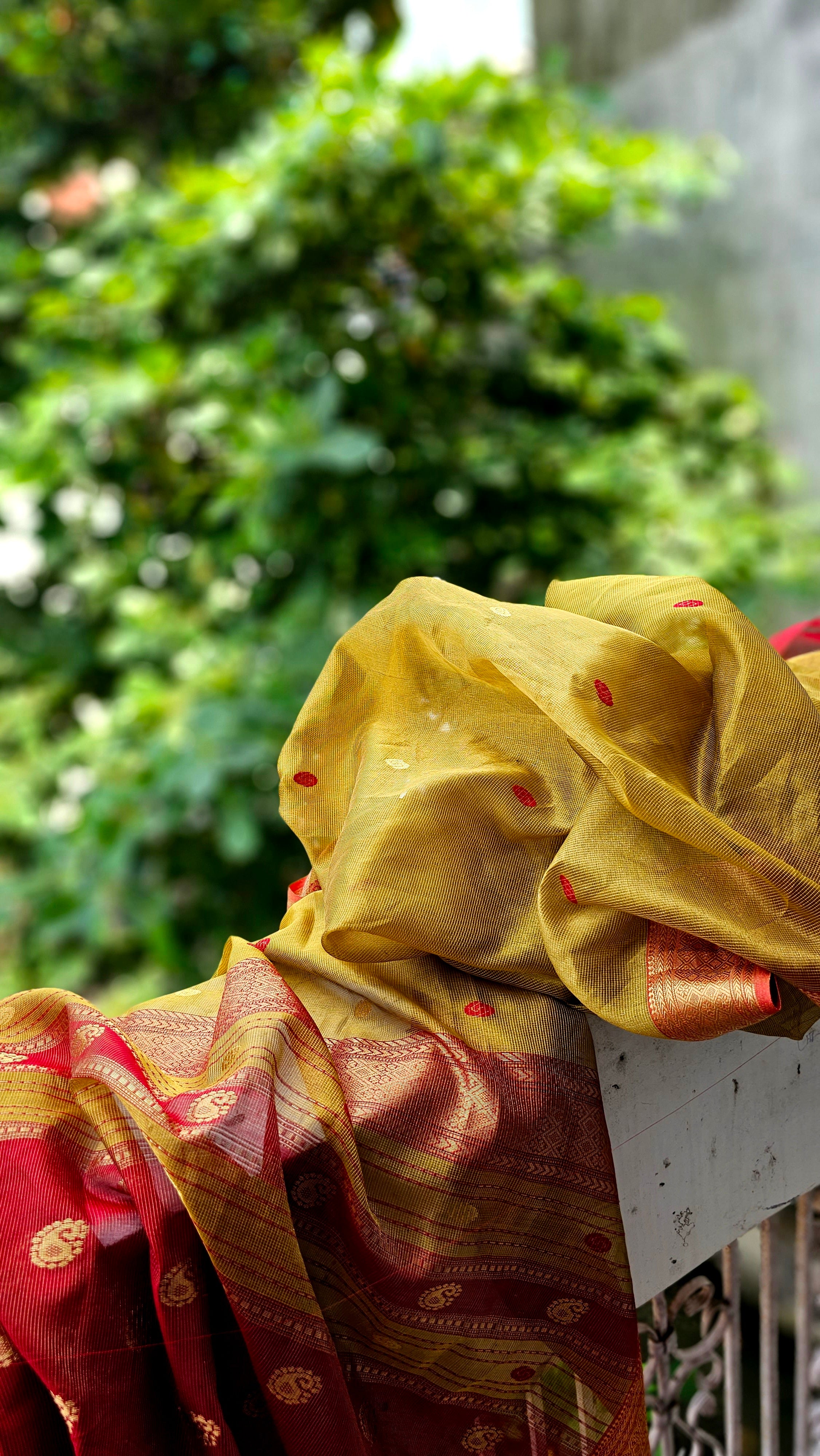 Explore the Beauty of Gold Tissue Checks Sarees.