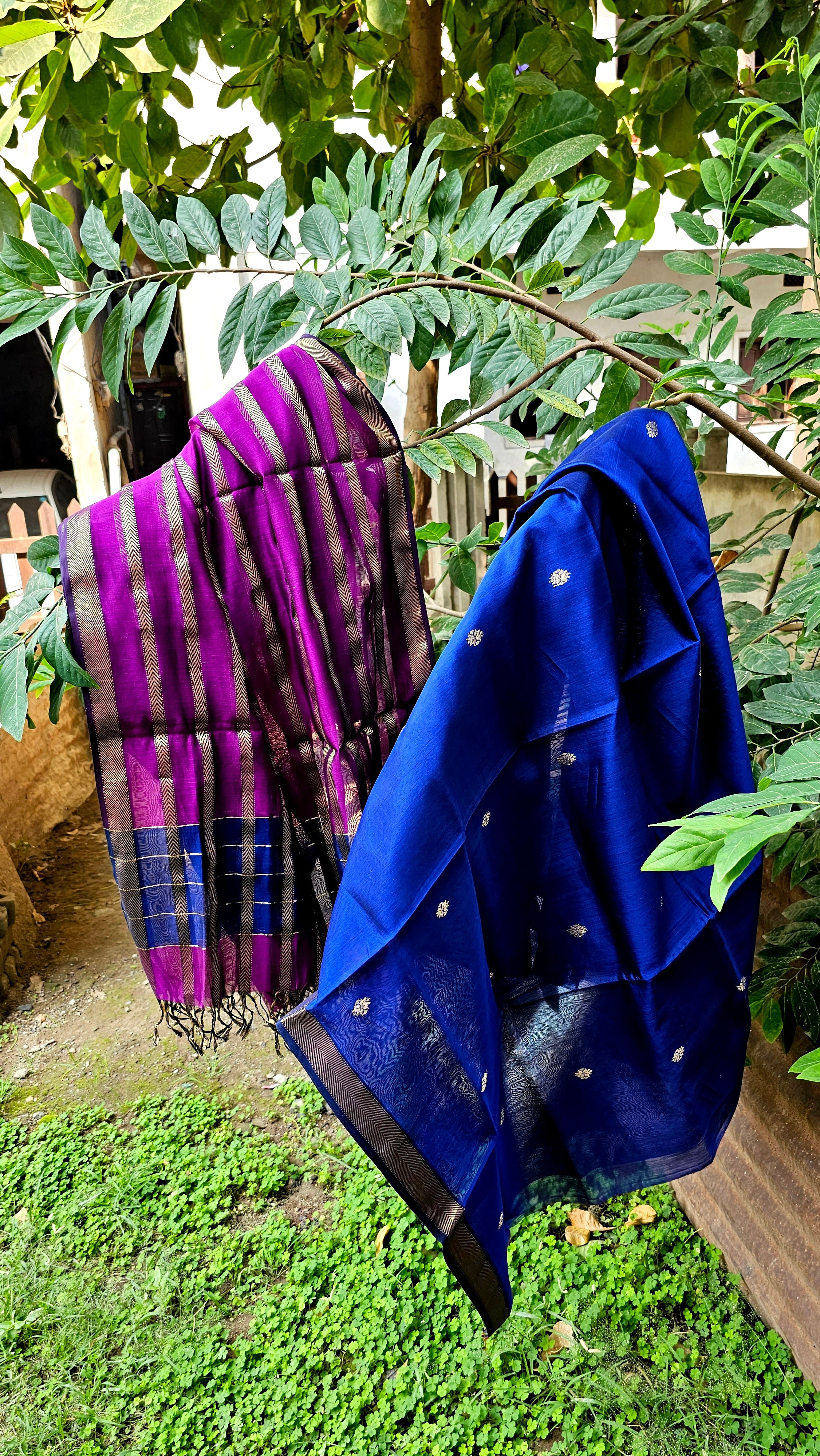 Royal Bliss: Top and Dupatta Extravaganza in Purple and Blue with 16 Gold Zari Borders.