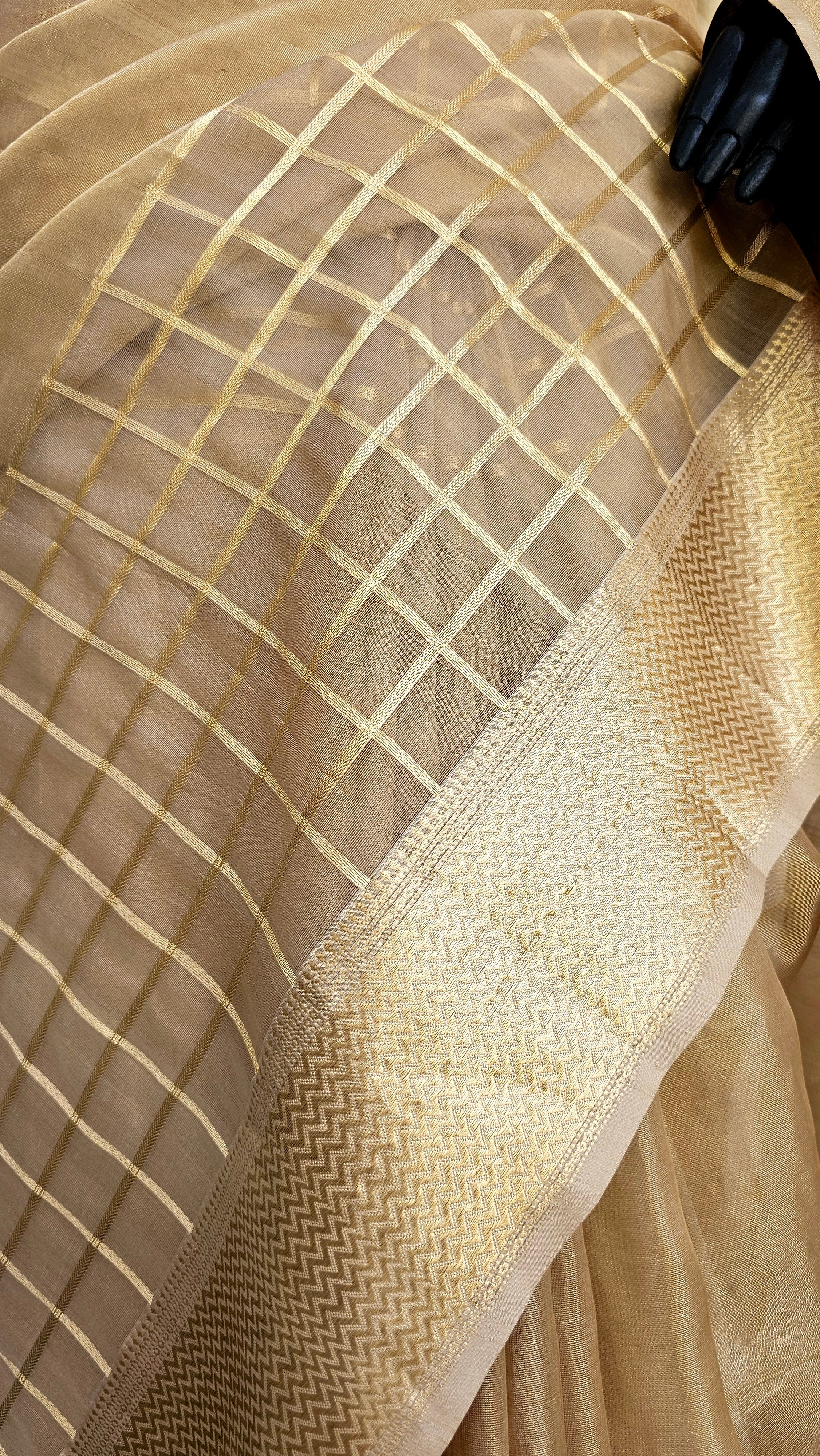 Organza Tissue Saree with Gold Zari Borders.