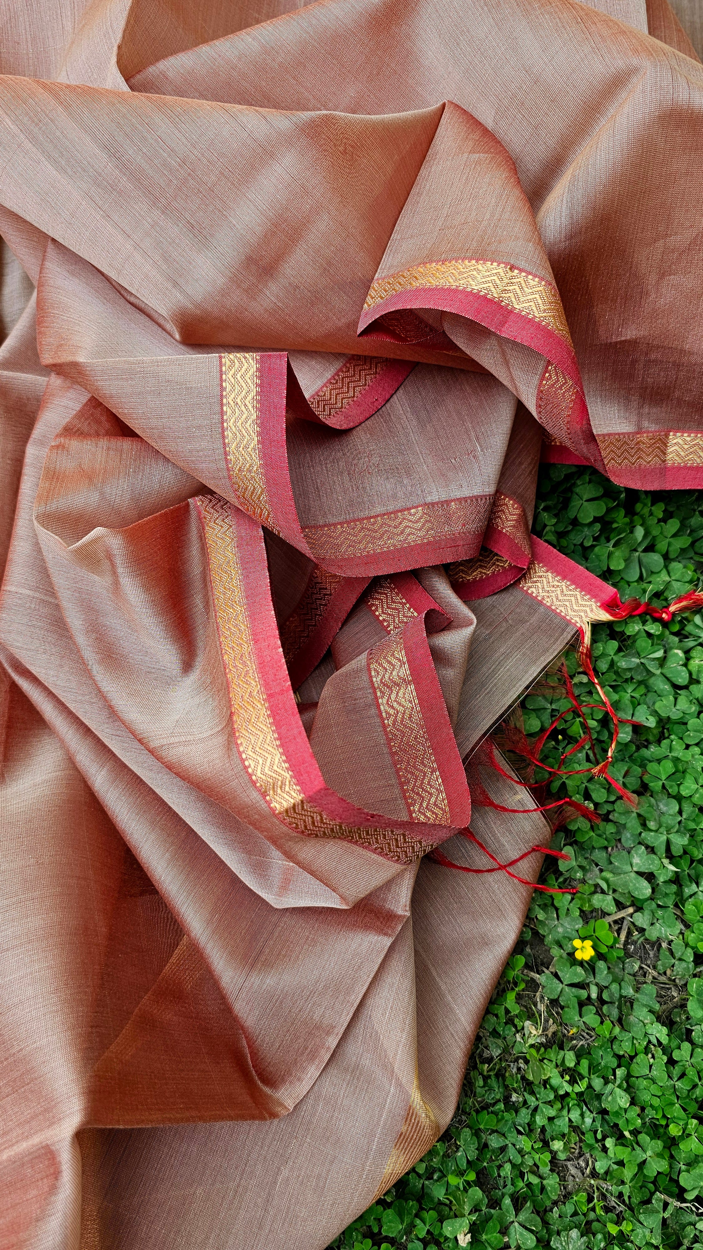 Beige Dupatta with Red/Gold Zari Borders.