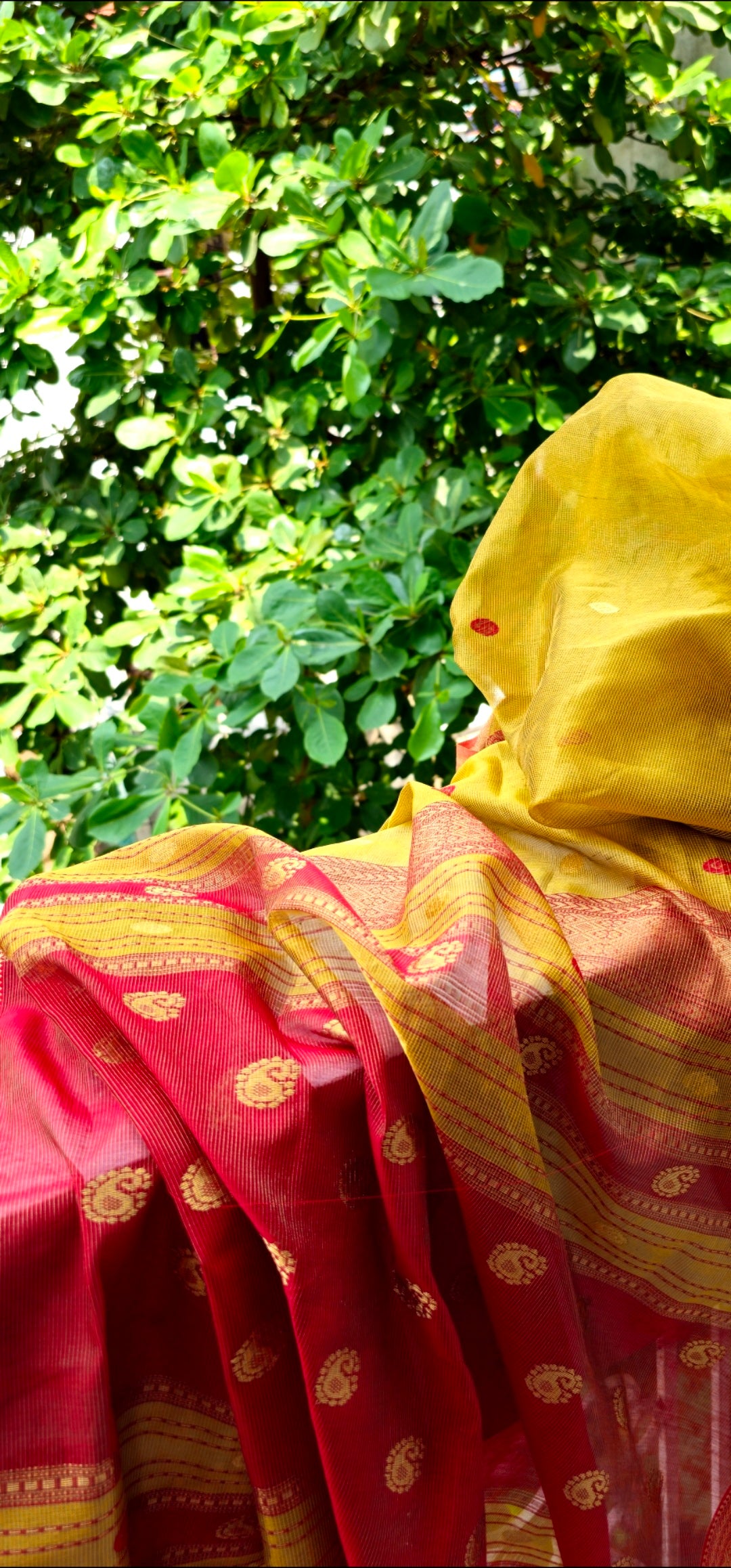 Explore the Beauty of Gold Tissue Checks Sarees.