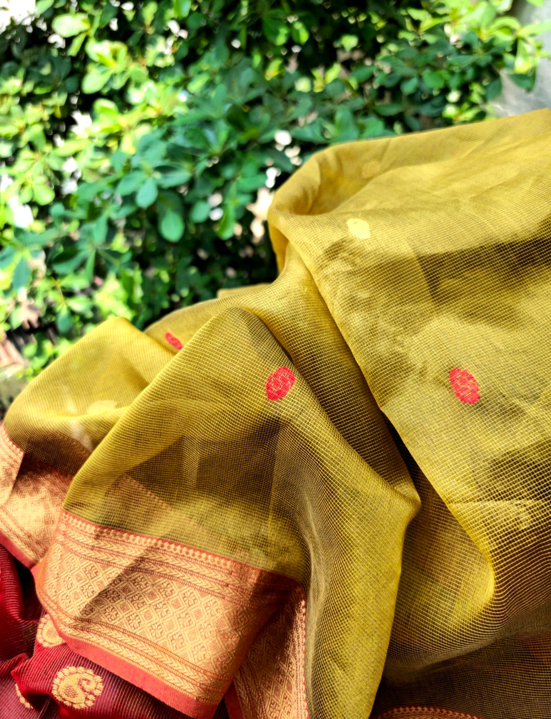 Explore the Beauty of Gold Tissue Checks Sarees.