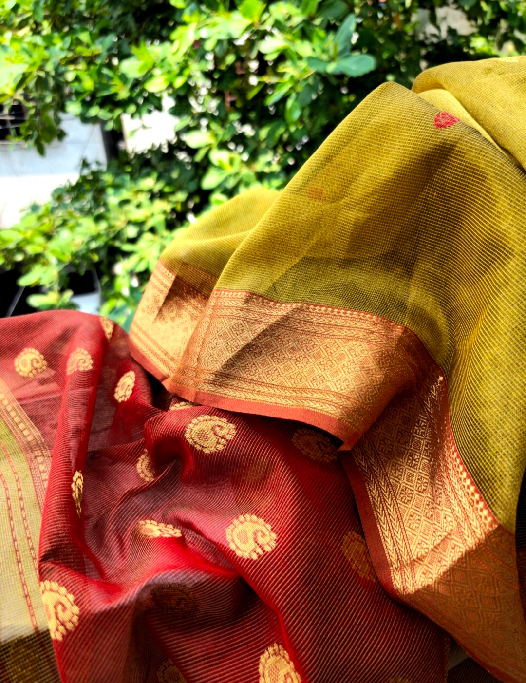 Explore the Beauty of Gold Tissue Checks Sarees.