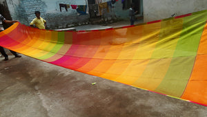 Rainbow Saree.