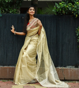 Gray Tissue Saree, a perfect blend of grace and timeless beauty. - House of  Surya