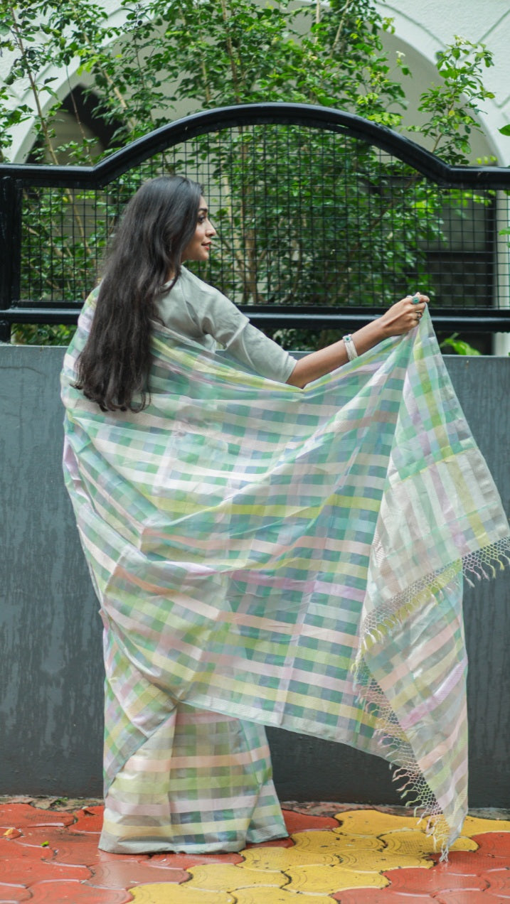 Saree with 21 Woven Borders.