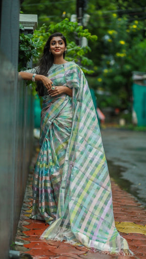 Saree with 21 Woven Borders.