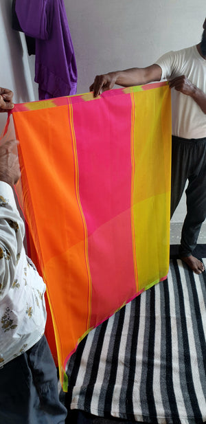 Rainbow Saree.