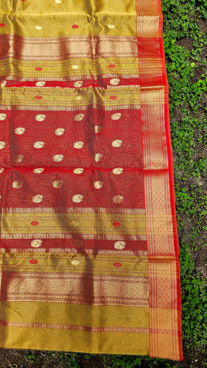 Gold Tissue Checks Saree with Booties and Extra Weft Jaala Palla.