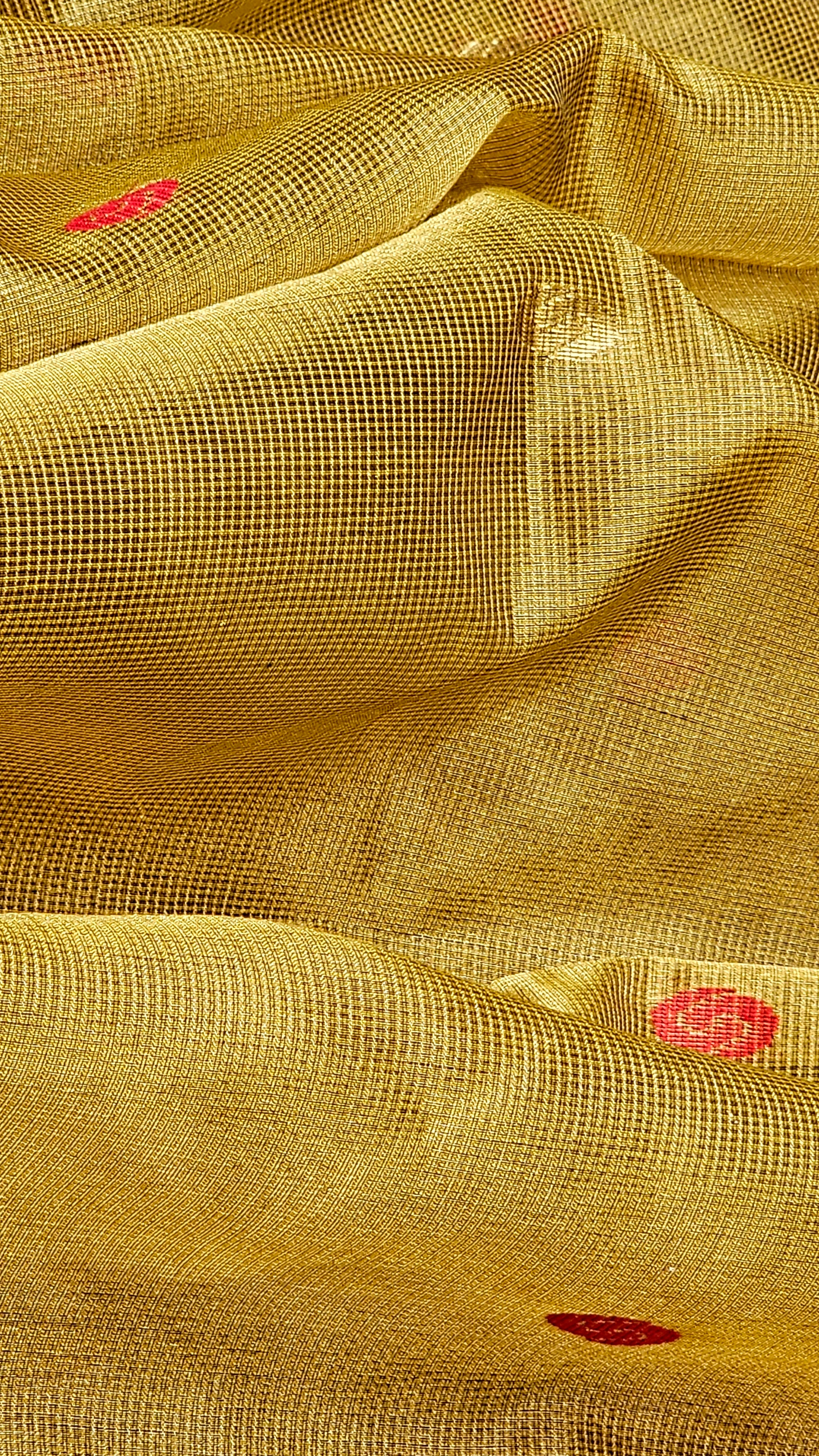 Gold Tissue Checks Saree with Booties and Extra Weft Jaala Palla.