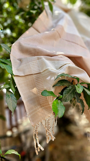 Pure Cotton Saree with "No Zari Concept" and Hand Spun Cotton Weft.