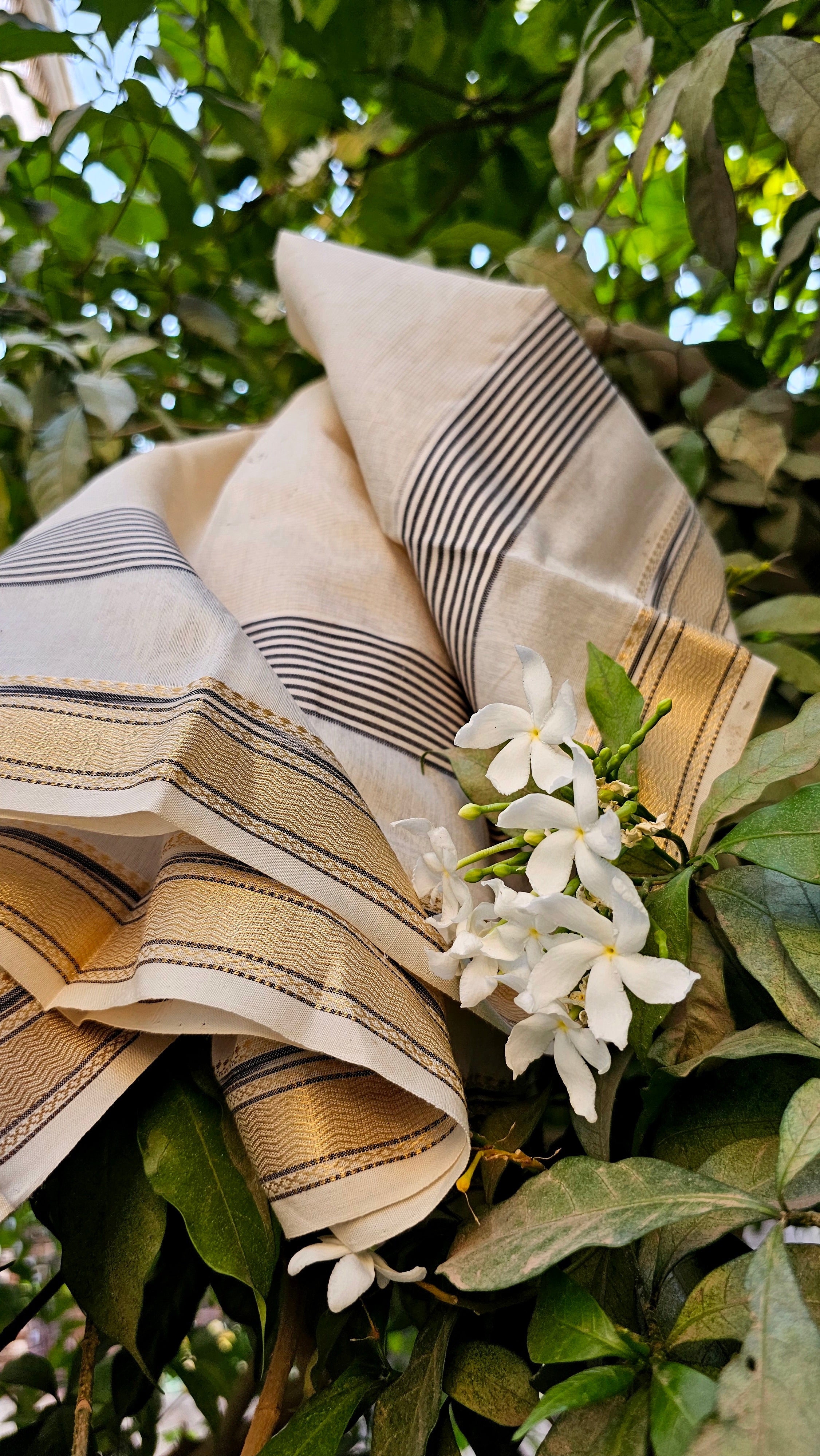 Off White Gold Tissue Saree with Traditional "Katari" Borders.